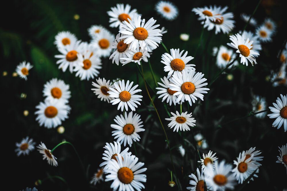 Photograph by Фурман Алексей