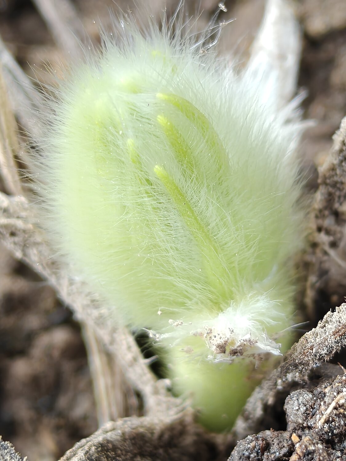 Photo #13867459