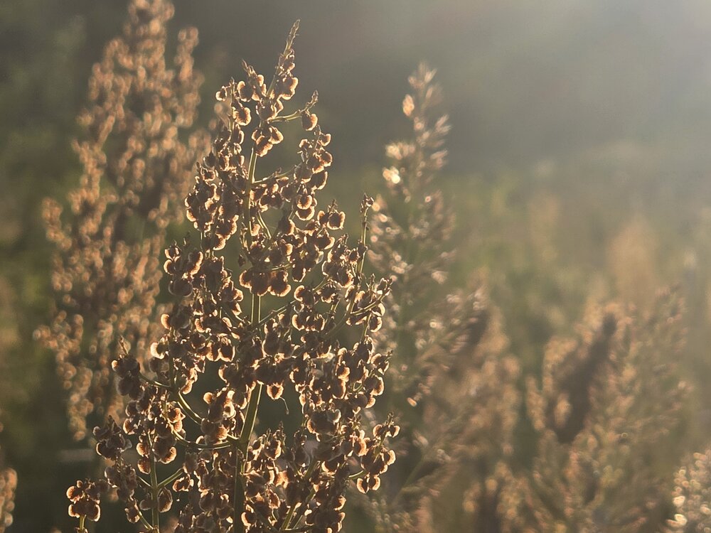 Photograph by Валерия Павлова