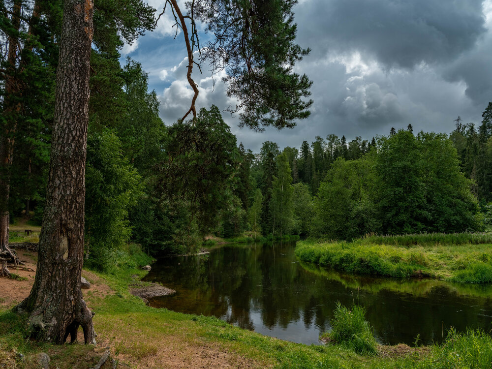 Photograph by Сергей Гратулевич