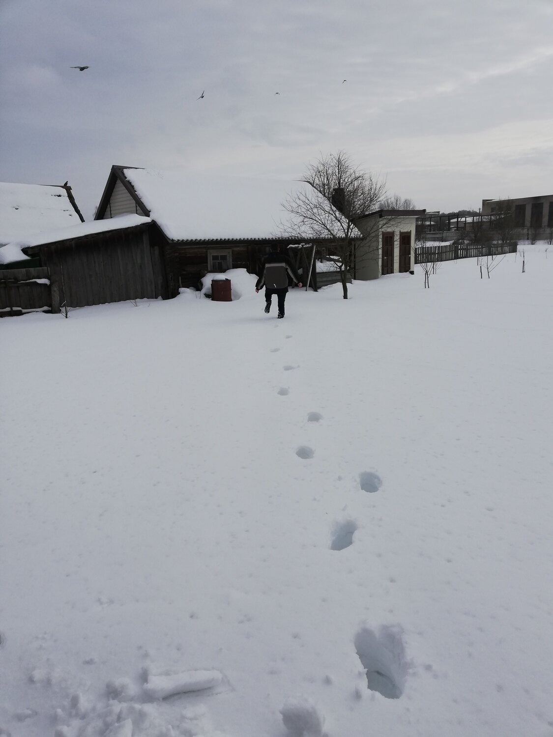 Photo #13867527