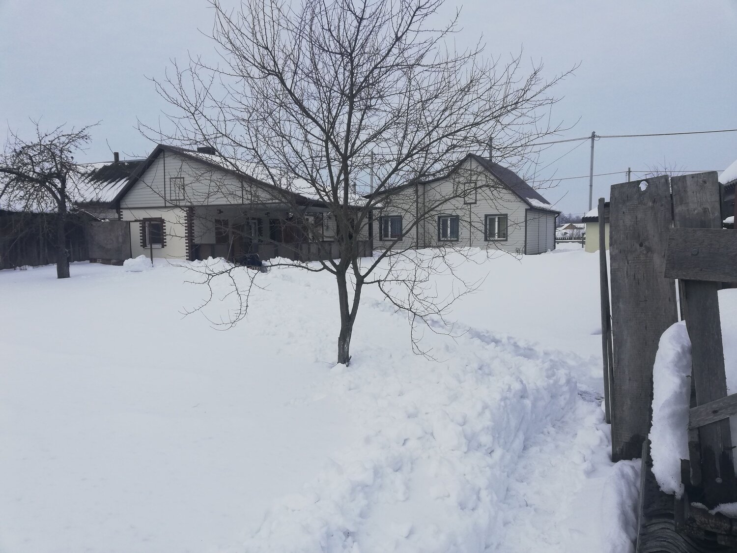 Photo #13867544