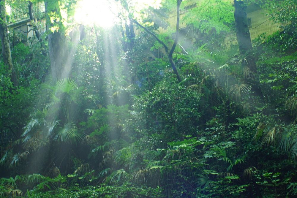 Photograph by Kuramochi Kunio