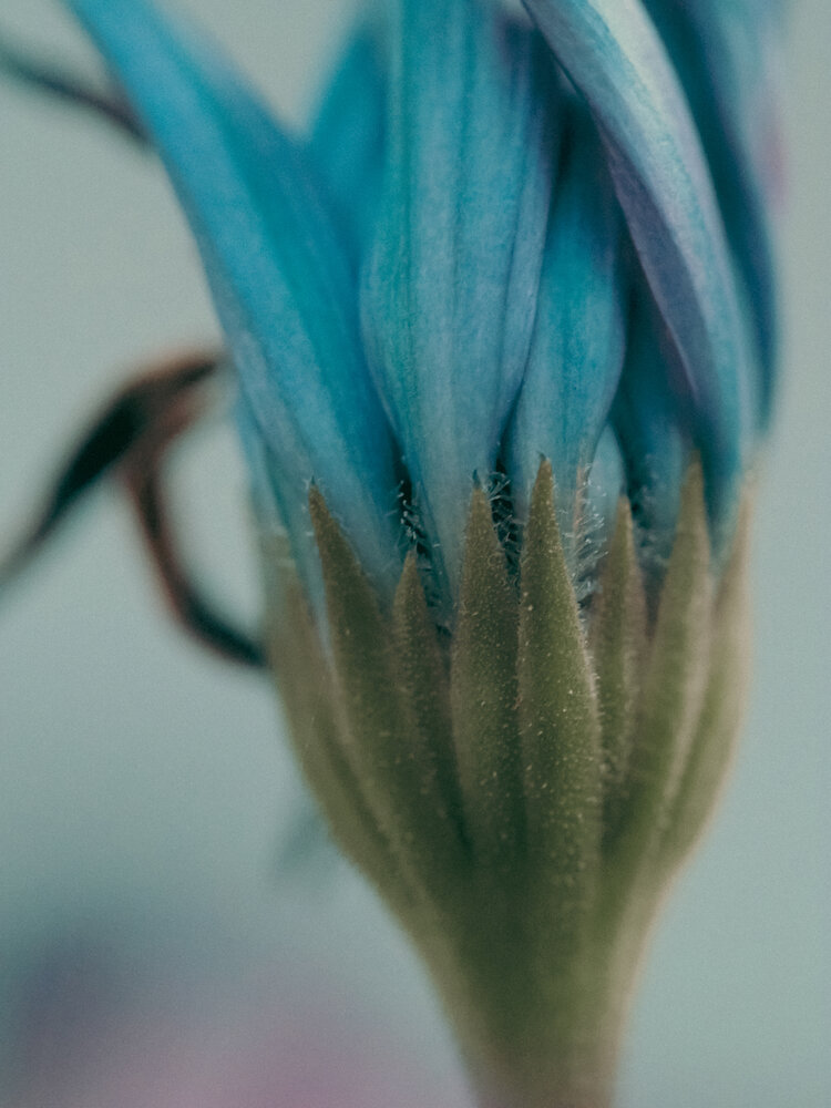 Photograph by DEMETRA NEOHORITI
