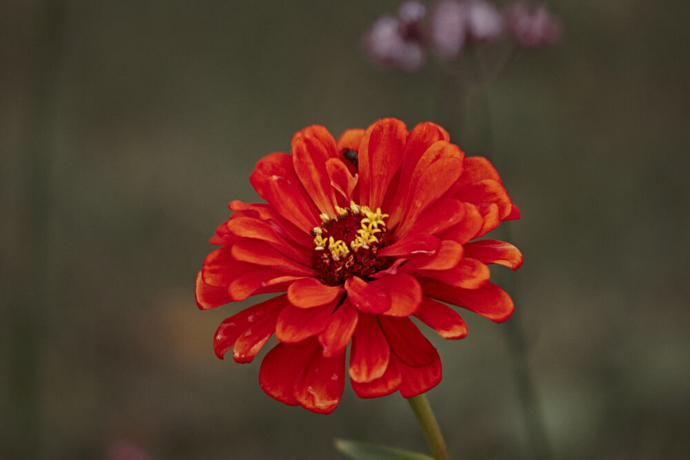 Photograph by Иван Винцковский