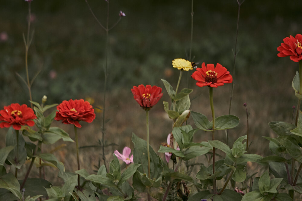 Photograph by Иван Винцковский