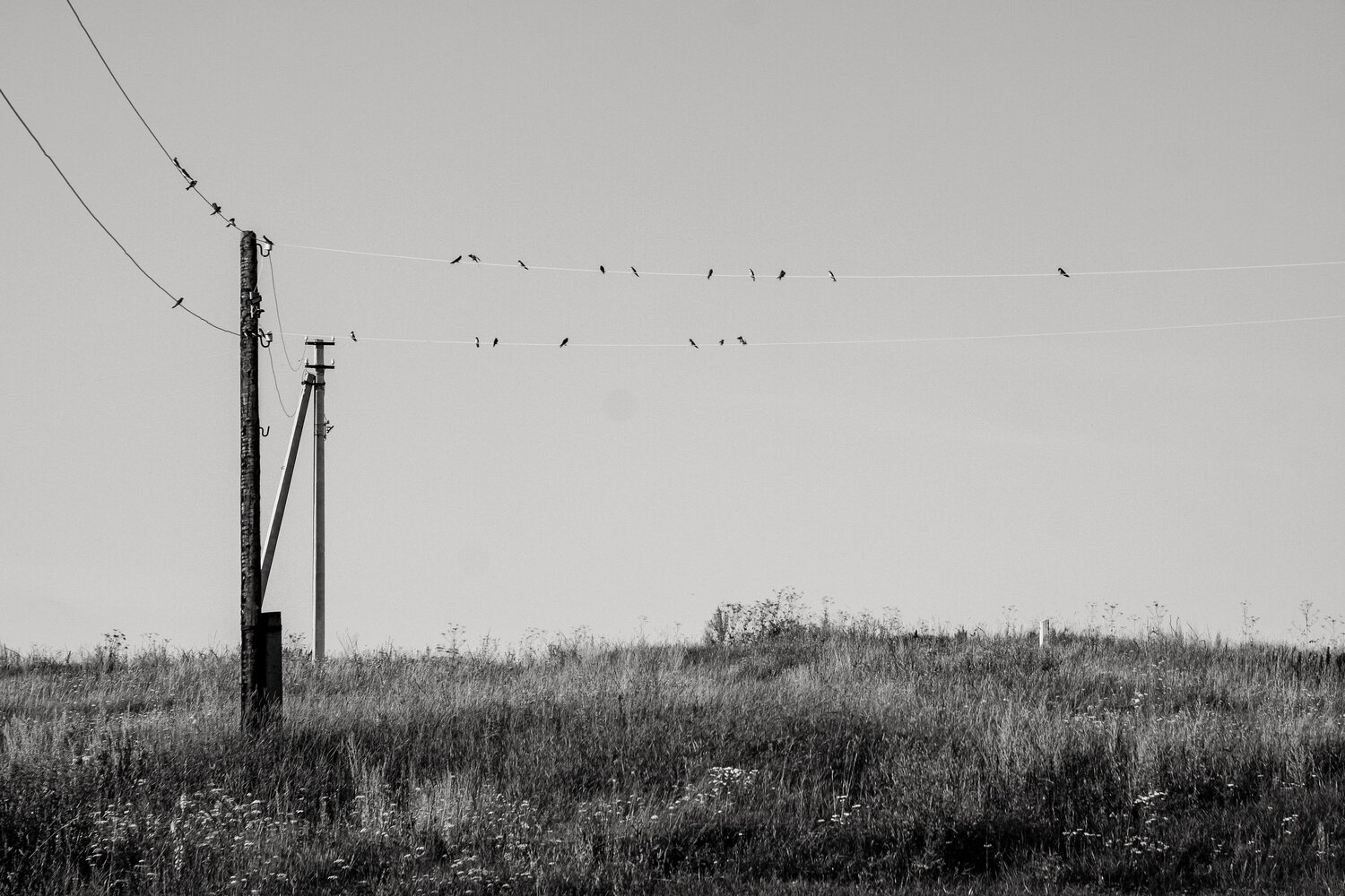 Photo #13867583
