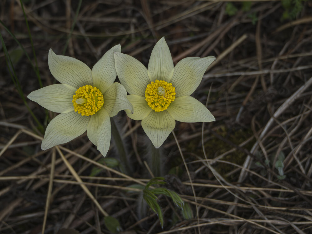 Photograph by Андрей Бородкин