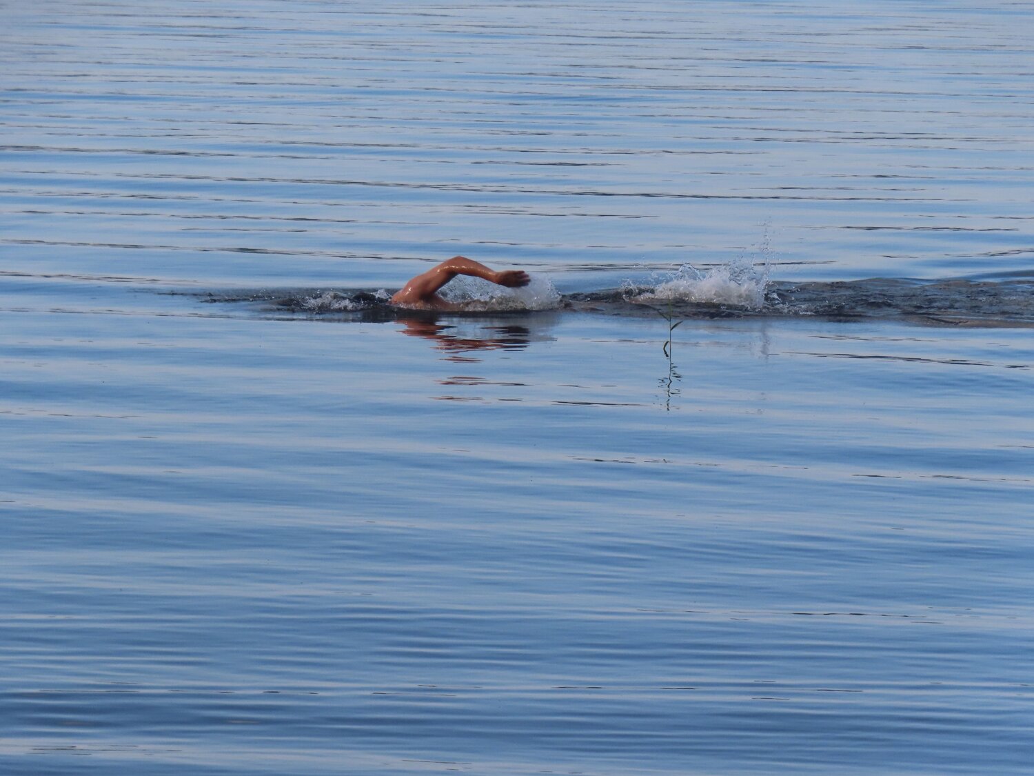 Photo #13867608