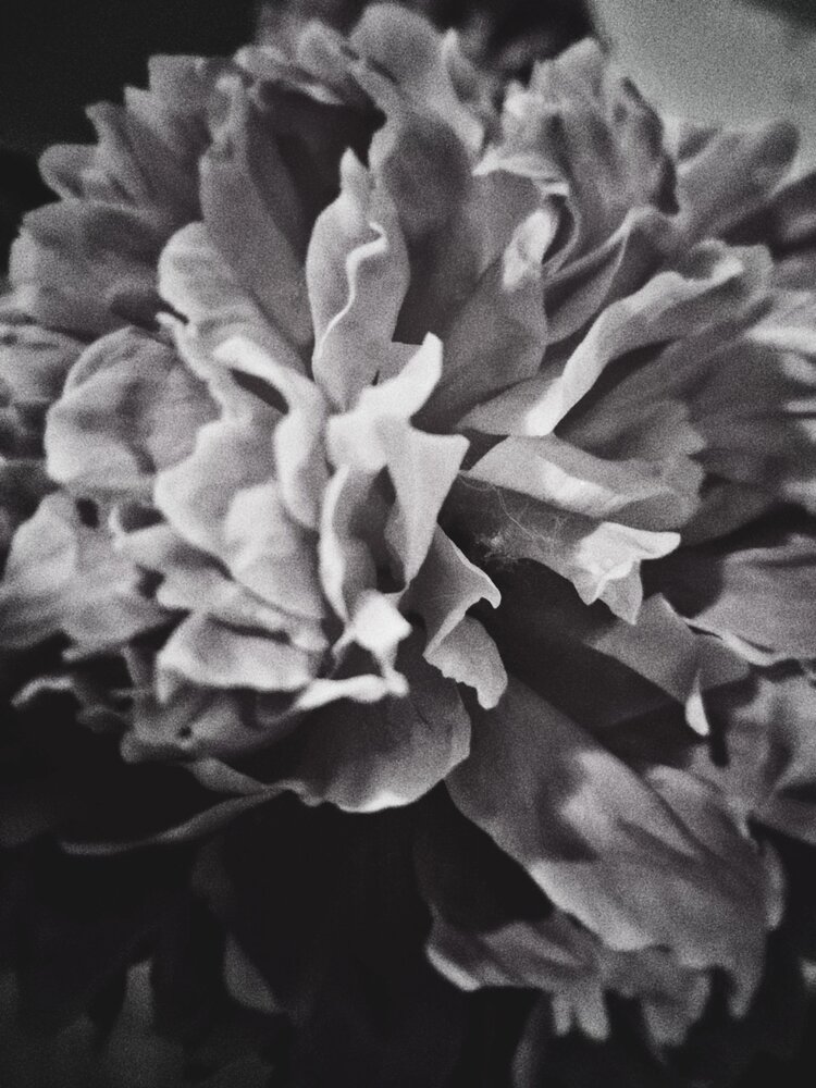 Photograph by Наталья Макаренкова