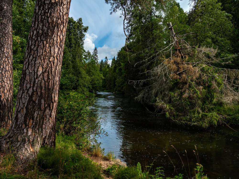 Photograph by Сергей Гратулевич