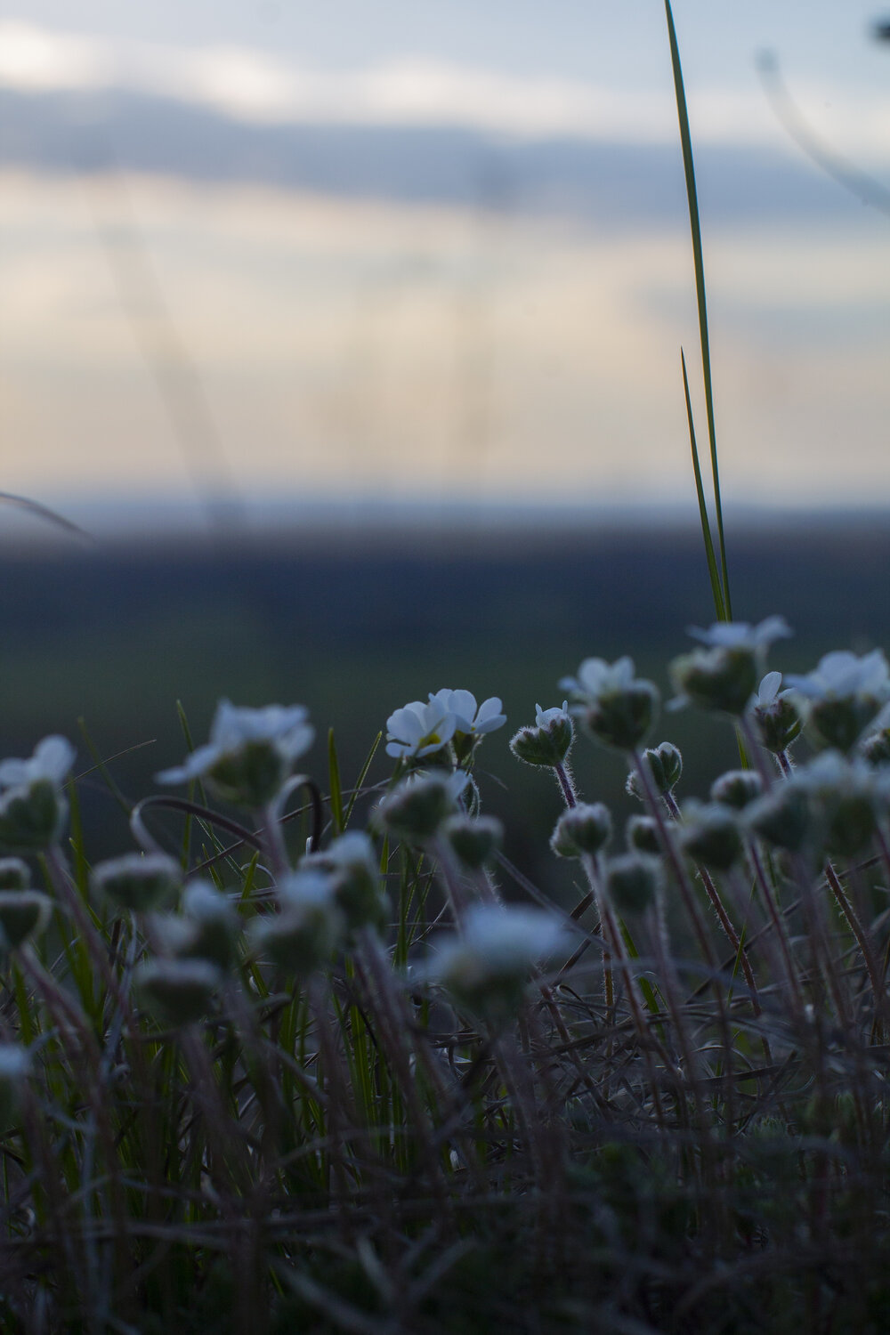 Photo #13867796
