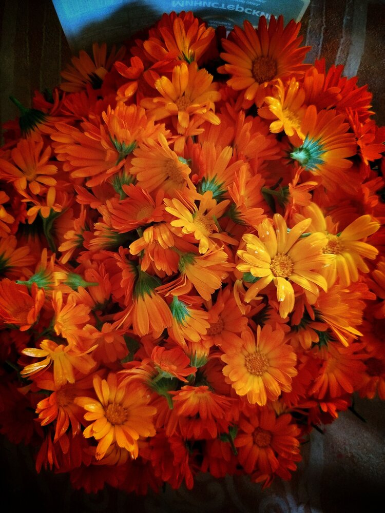 Photograph by Дубровина Марина