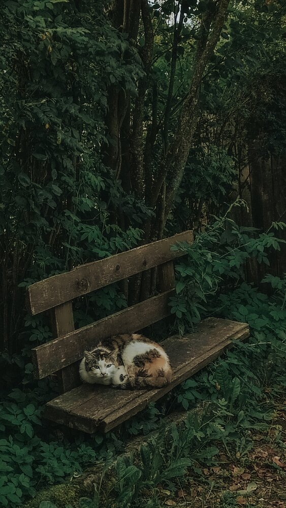 Photograph by Людмила Сергеева