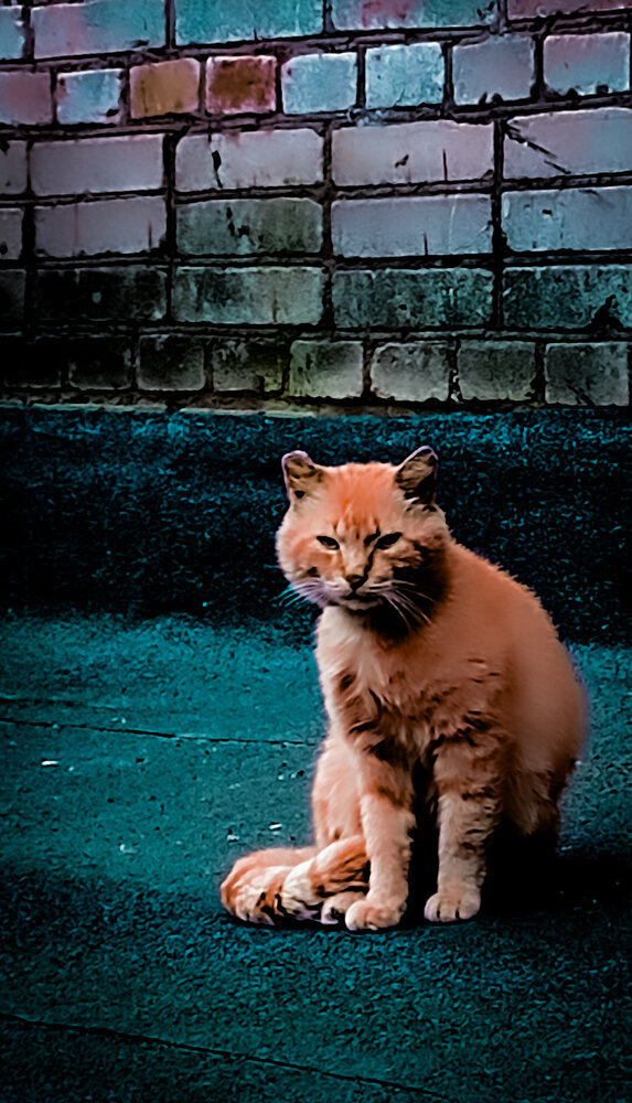 Photograph by Людмила Сергеева