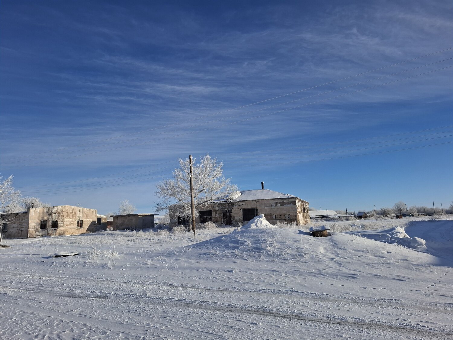 Photo #13867899
