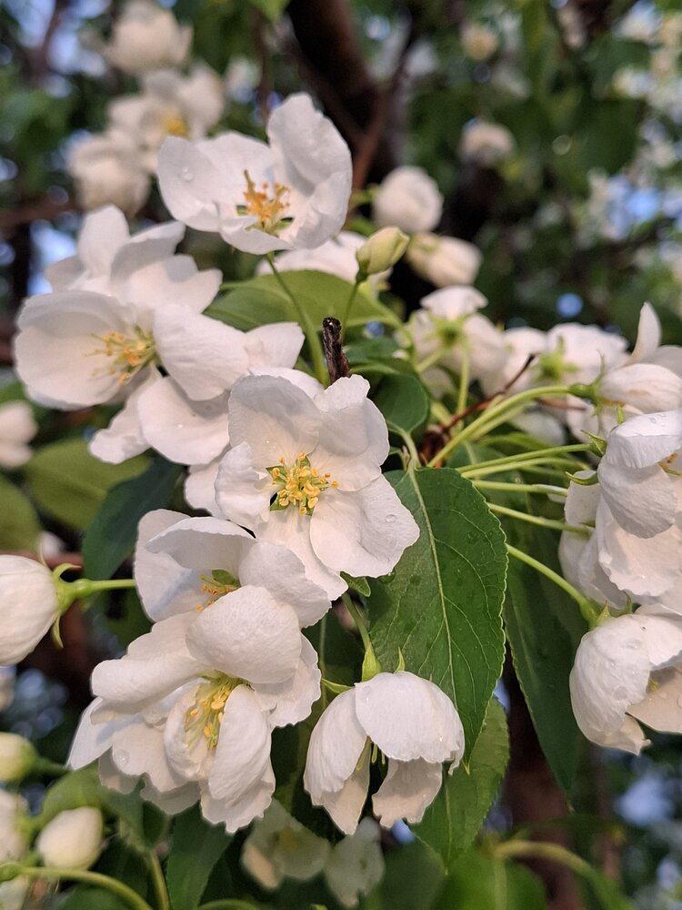 Photograph by Алёна Артемьева
