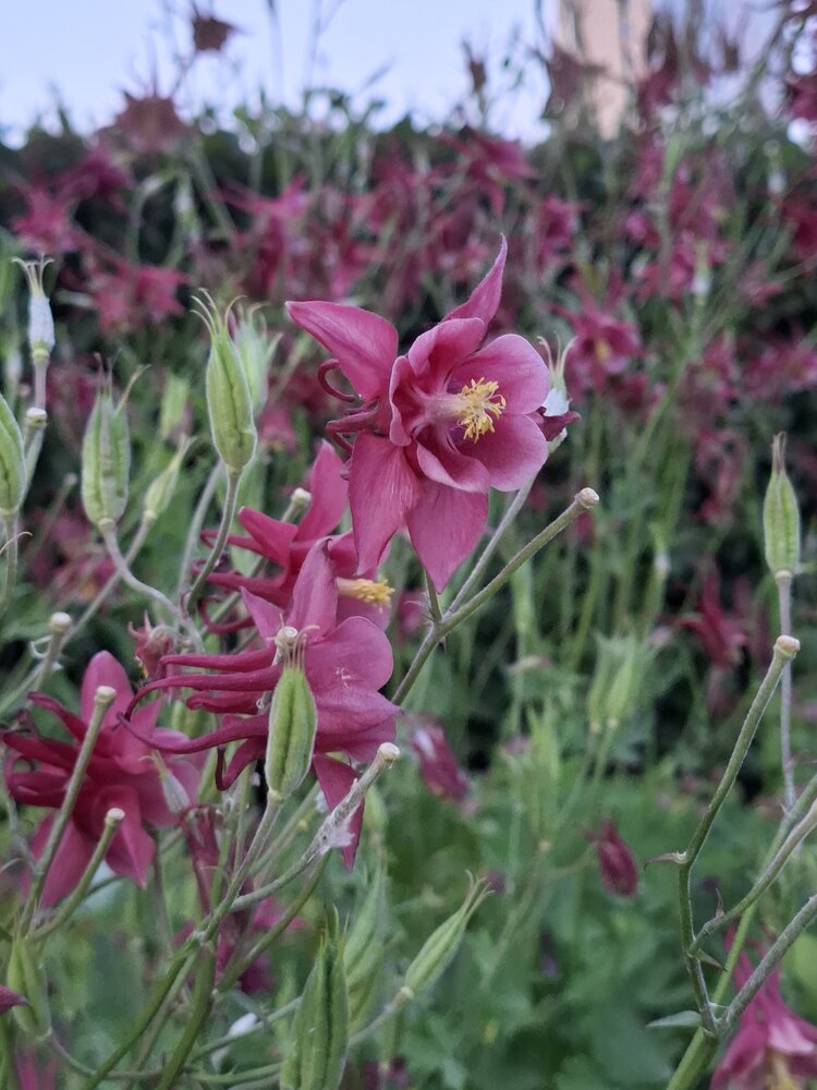 Photograph by Алёна Артемьева