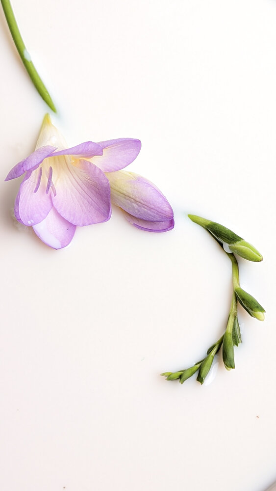 Photo #13867932