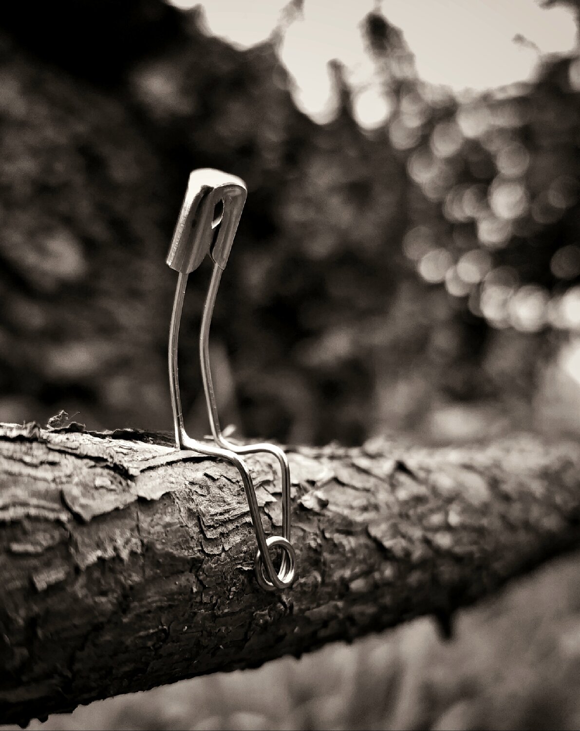 Photo #13867941