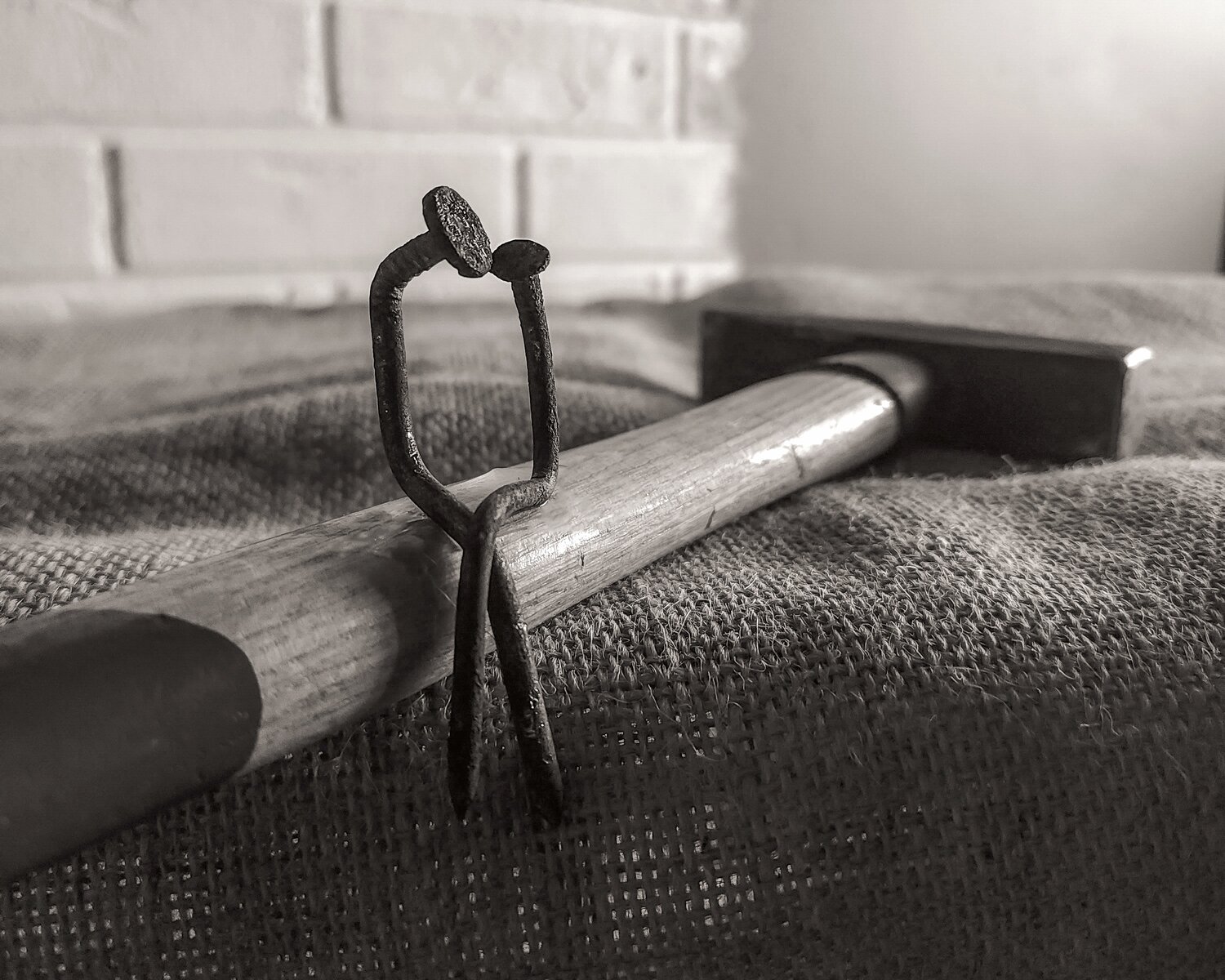 Photo #13867943