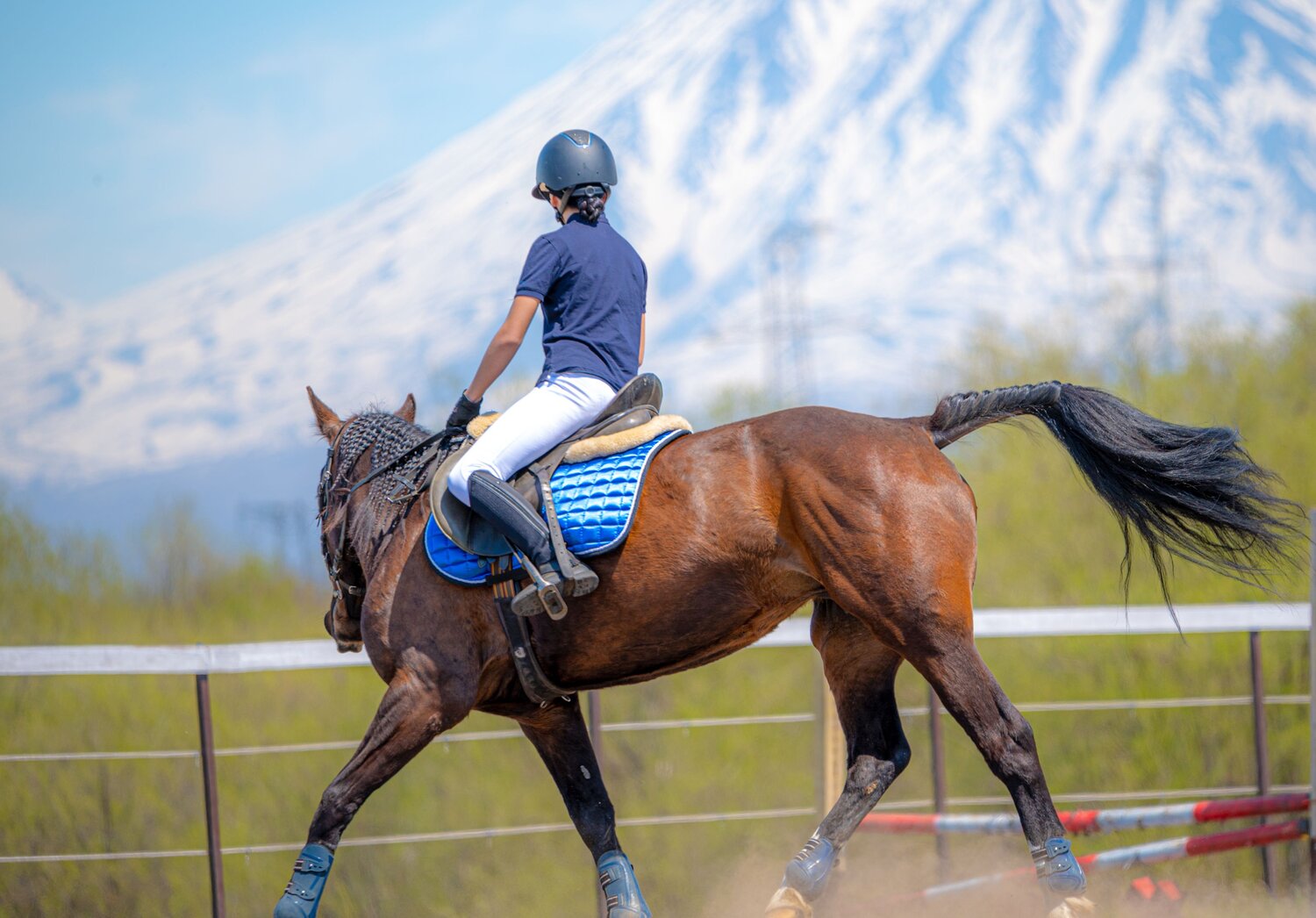Photo #13867960