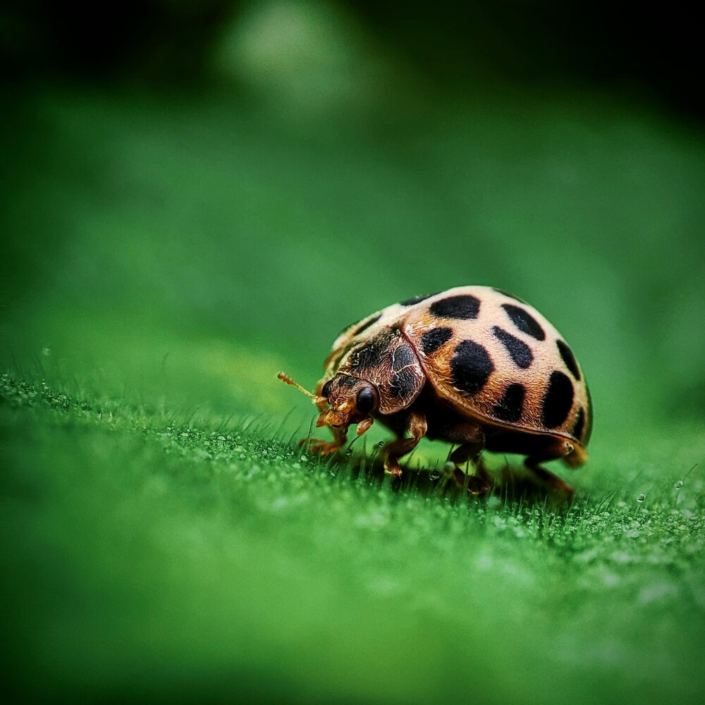 Photograph by Дина Желанова