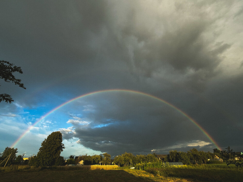 Photograph by Светлана Долганова