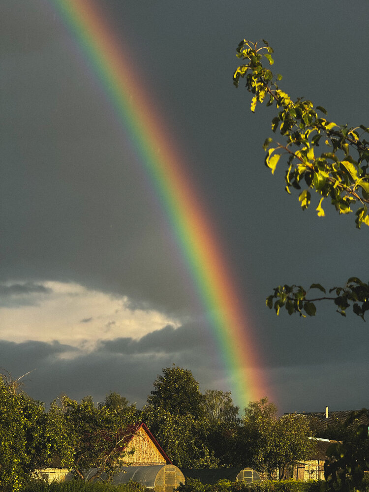 Photograph by Светлана Долганова