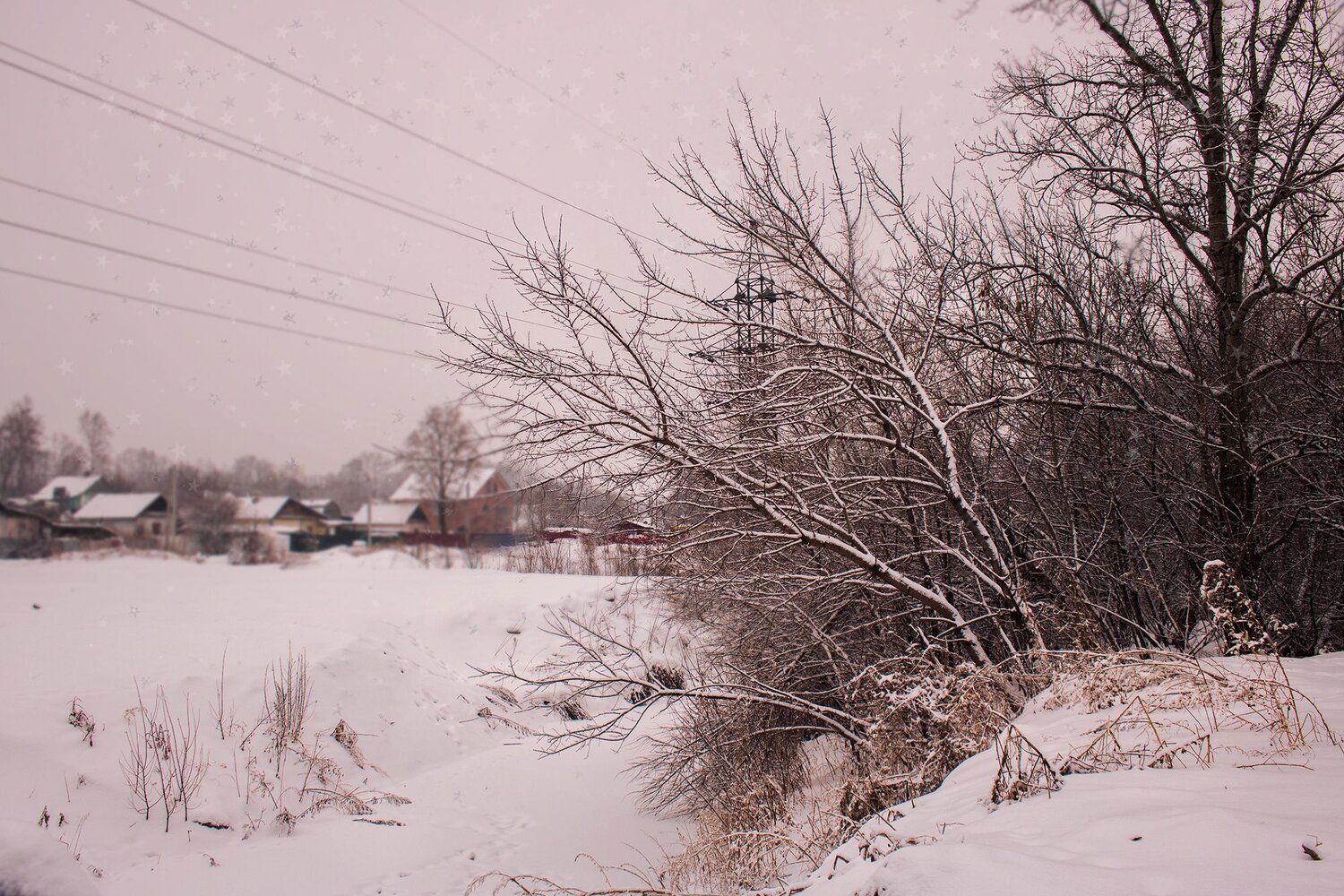 Photo #13868068