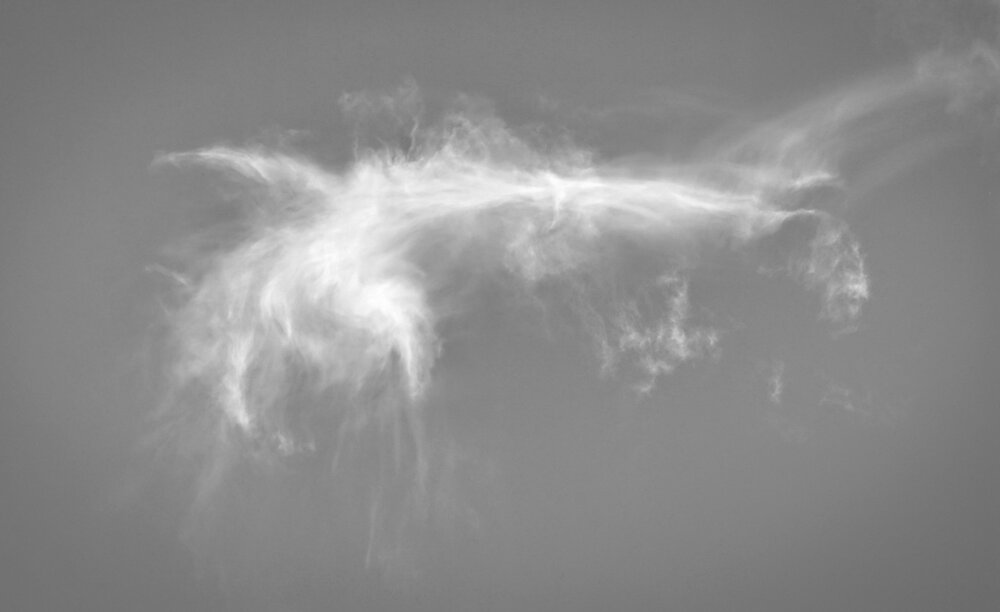 Angel\'s Disintegration :)