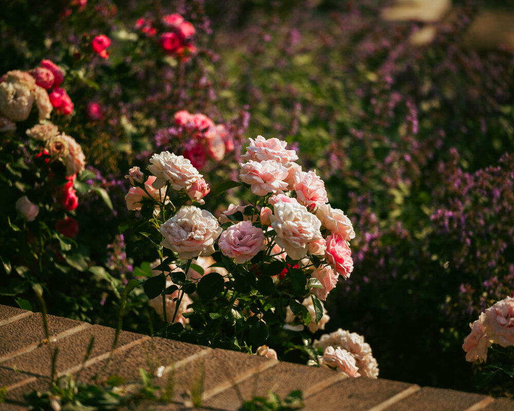 Photograph by Амир Сайдиев