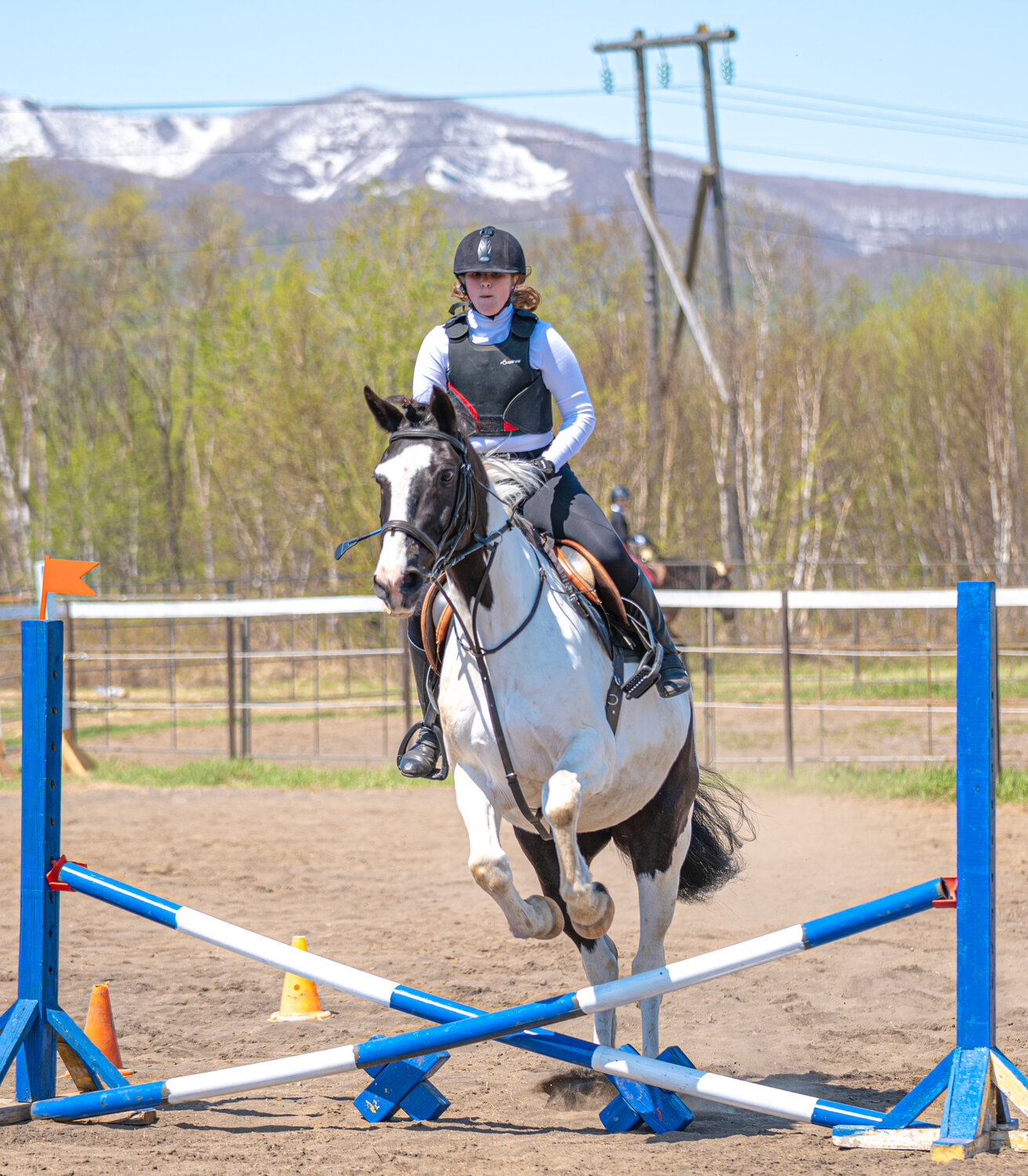 Photo #13868219