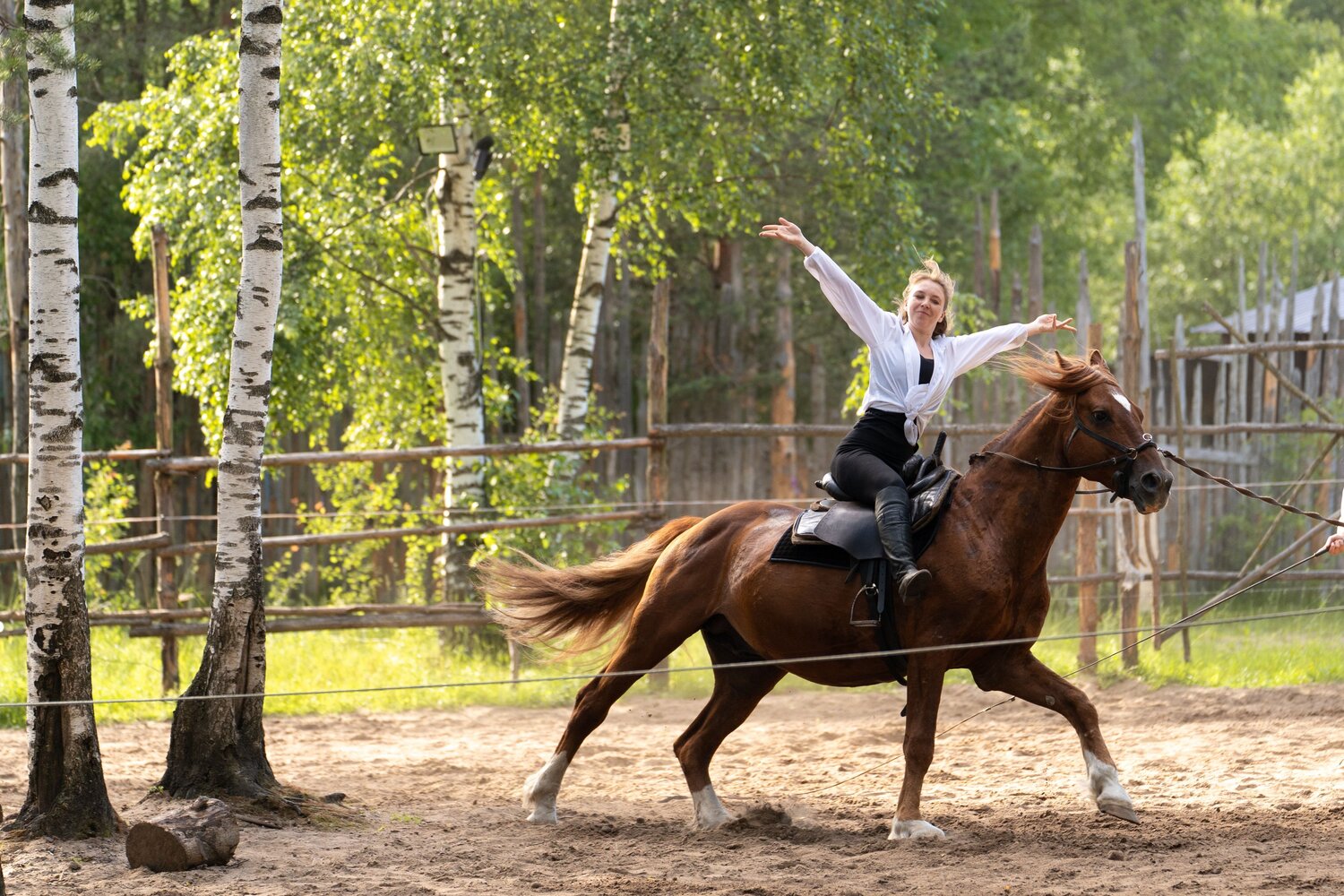 Photo #13868317