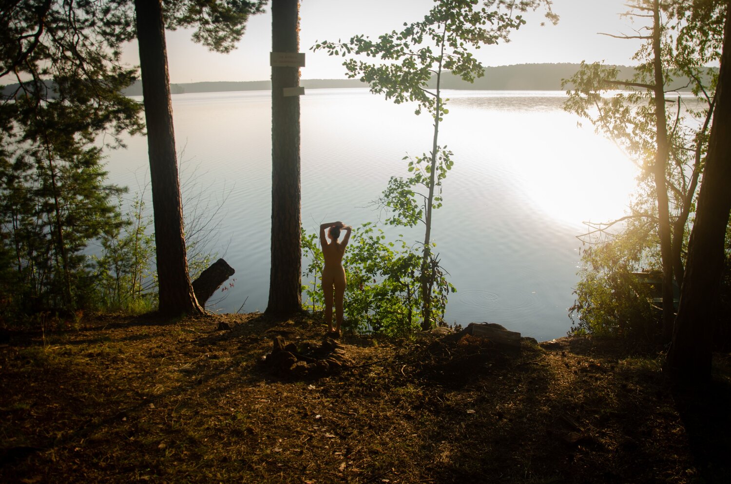 Photo #13868363
