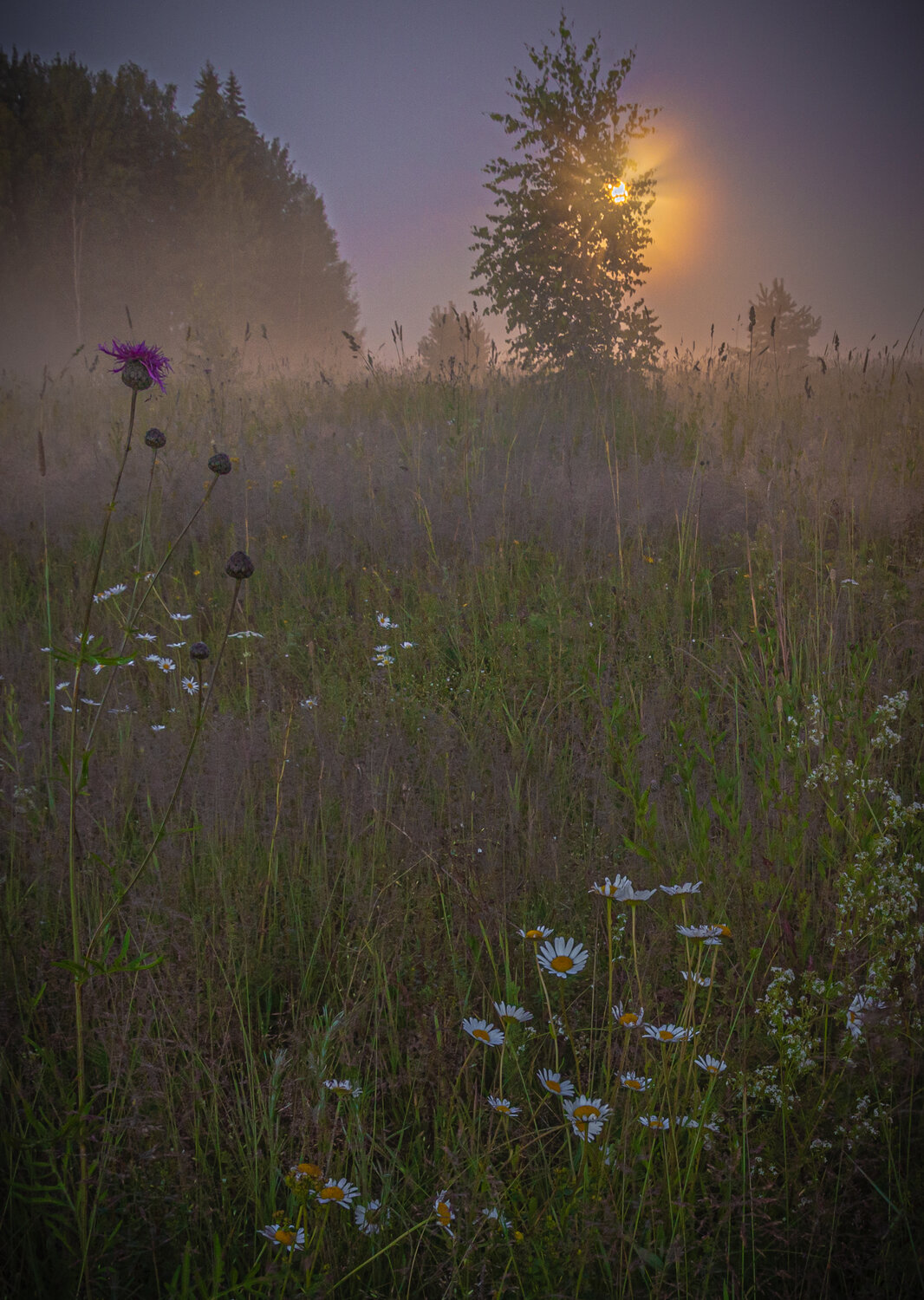 Photo #13868420