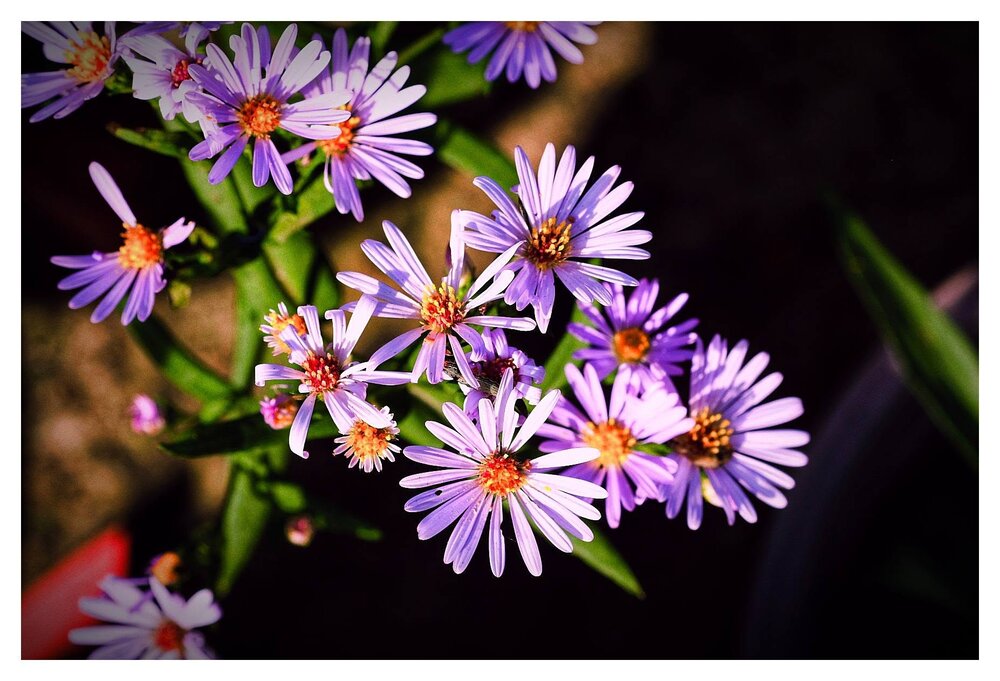 Photograph by nguyen phuc