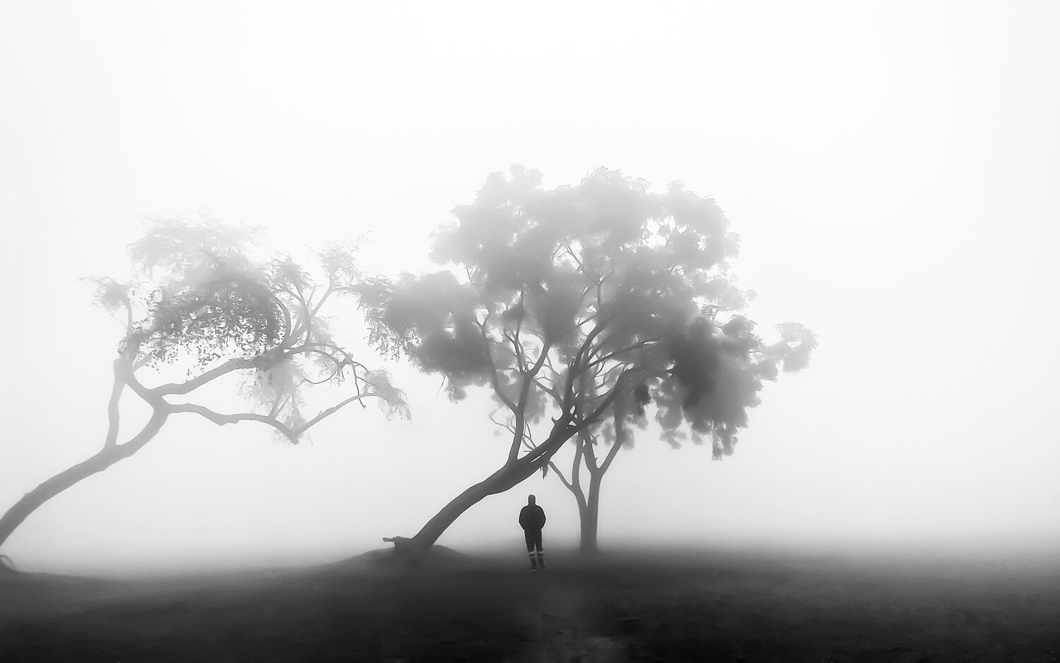 Monochrome stillness