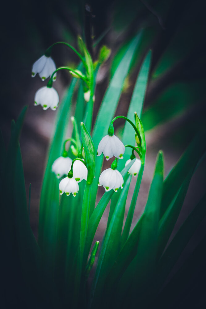 Photograph by Дмитрий Кузнецов