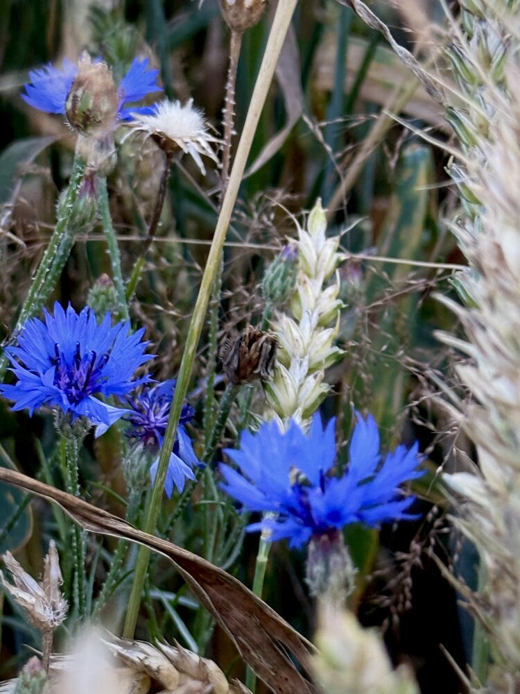 Photograph by Елена Зенкевич
