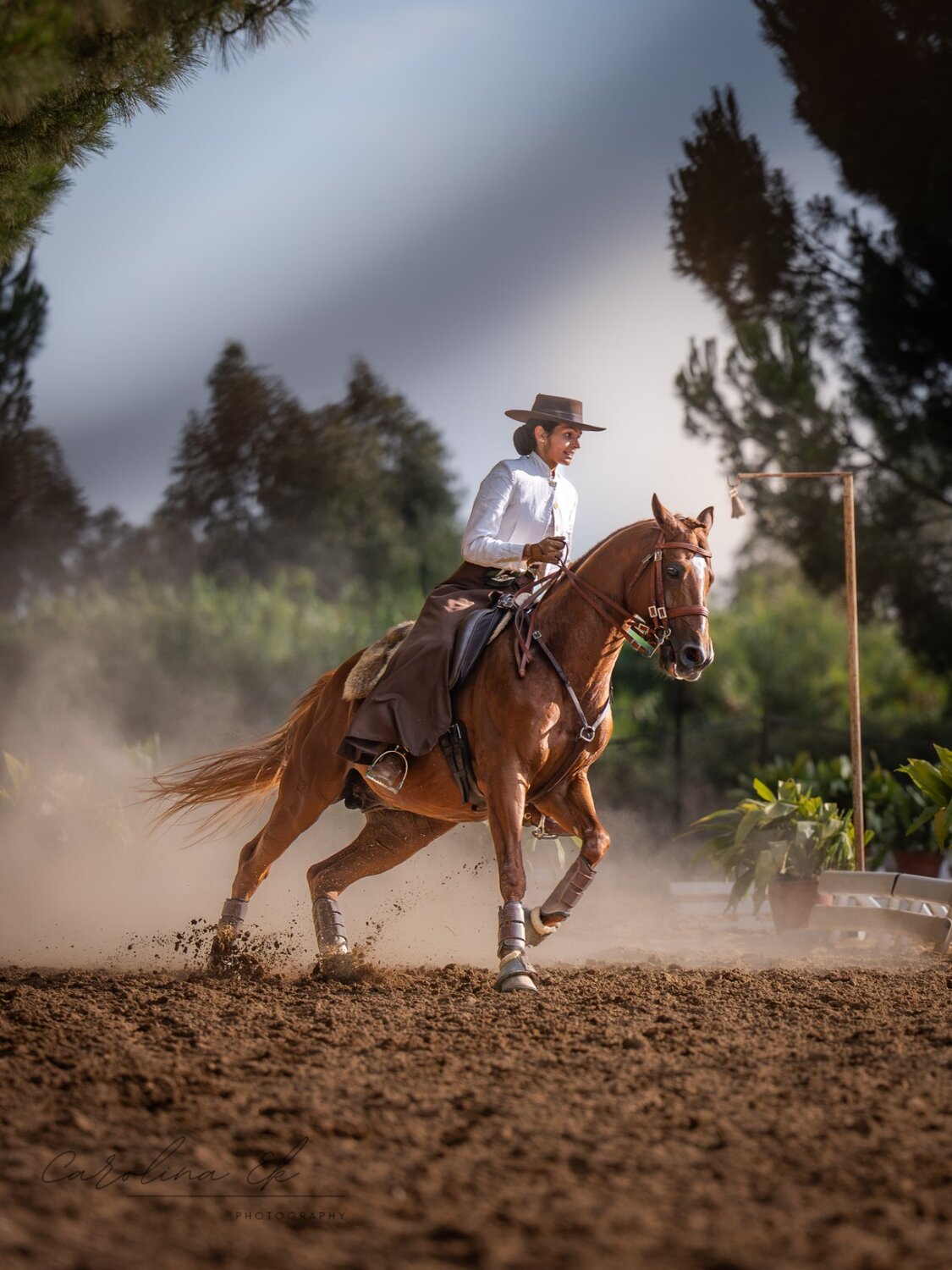 Photo #13868646