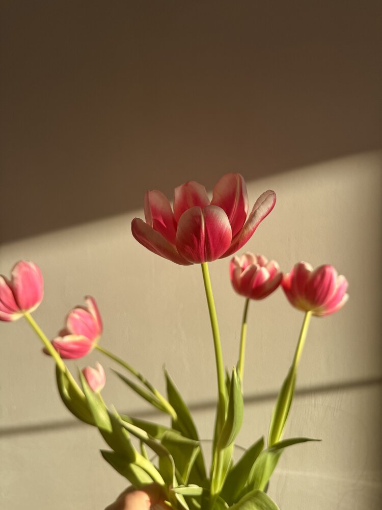 Photograph by Ольга Имамкулиева