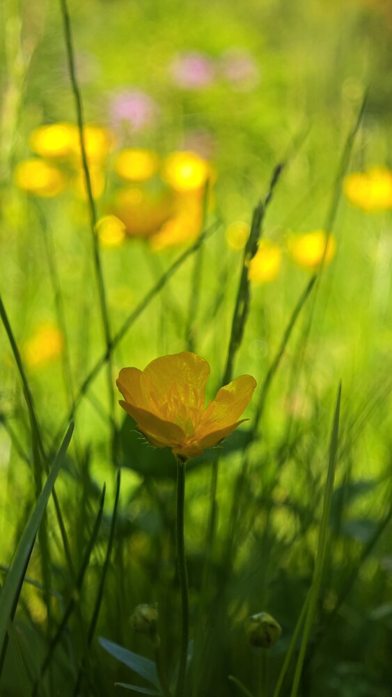 Photograph by Светлана Мищенко