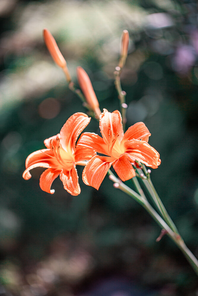 Photograph by Кольцова Мария