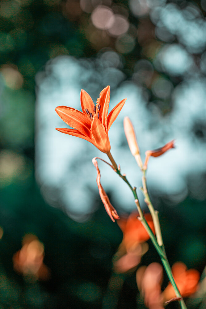 Photograph by Кольцова Мария