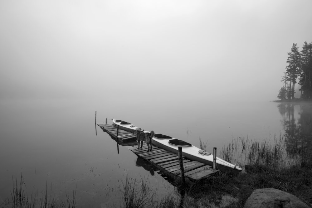 Photograph by Mariyana Atanasova - Lucero
