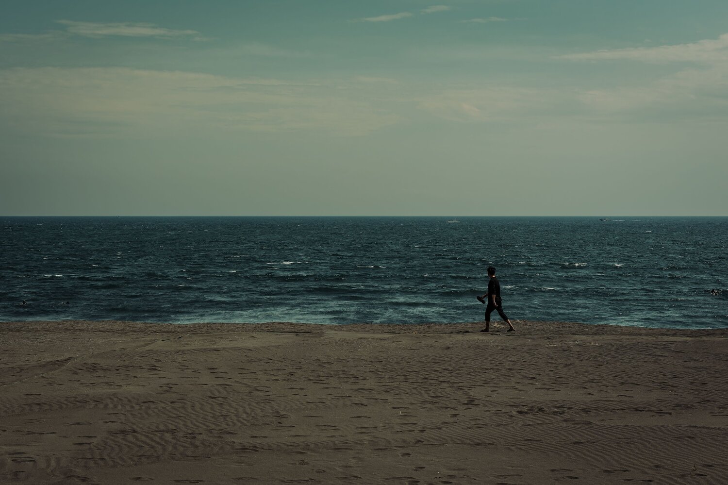 Photo #13868716
