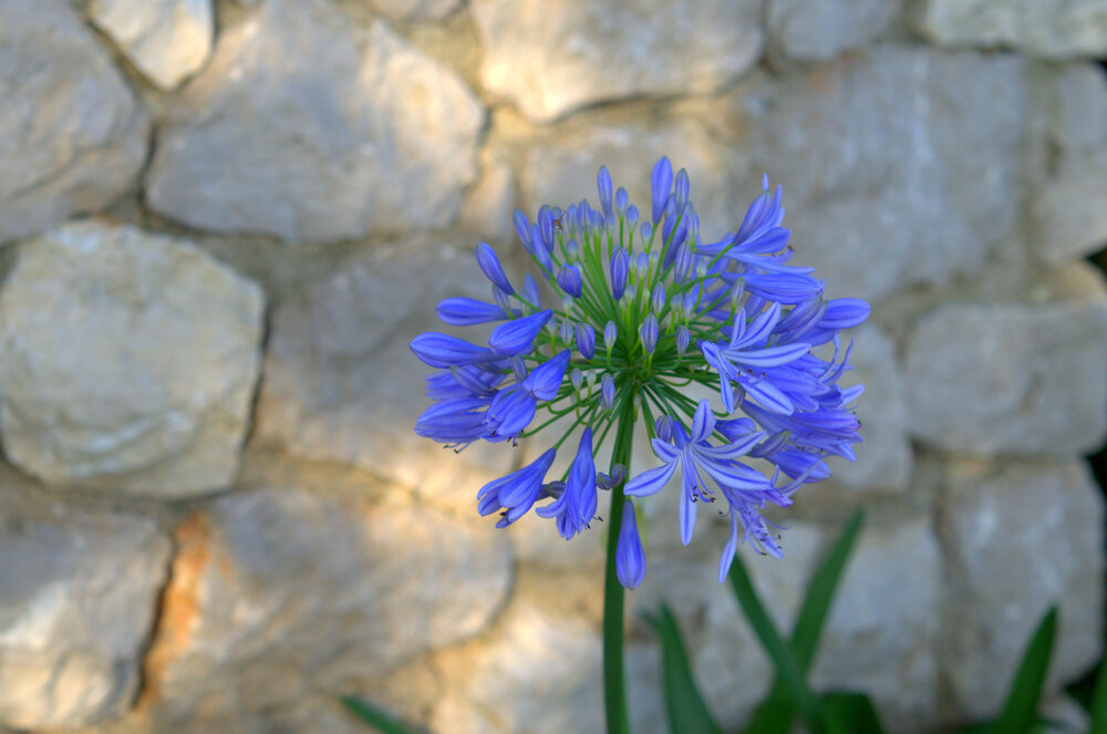 Photograph by Emil Zivanov