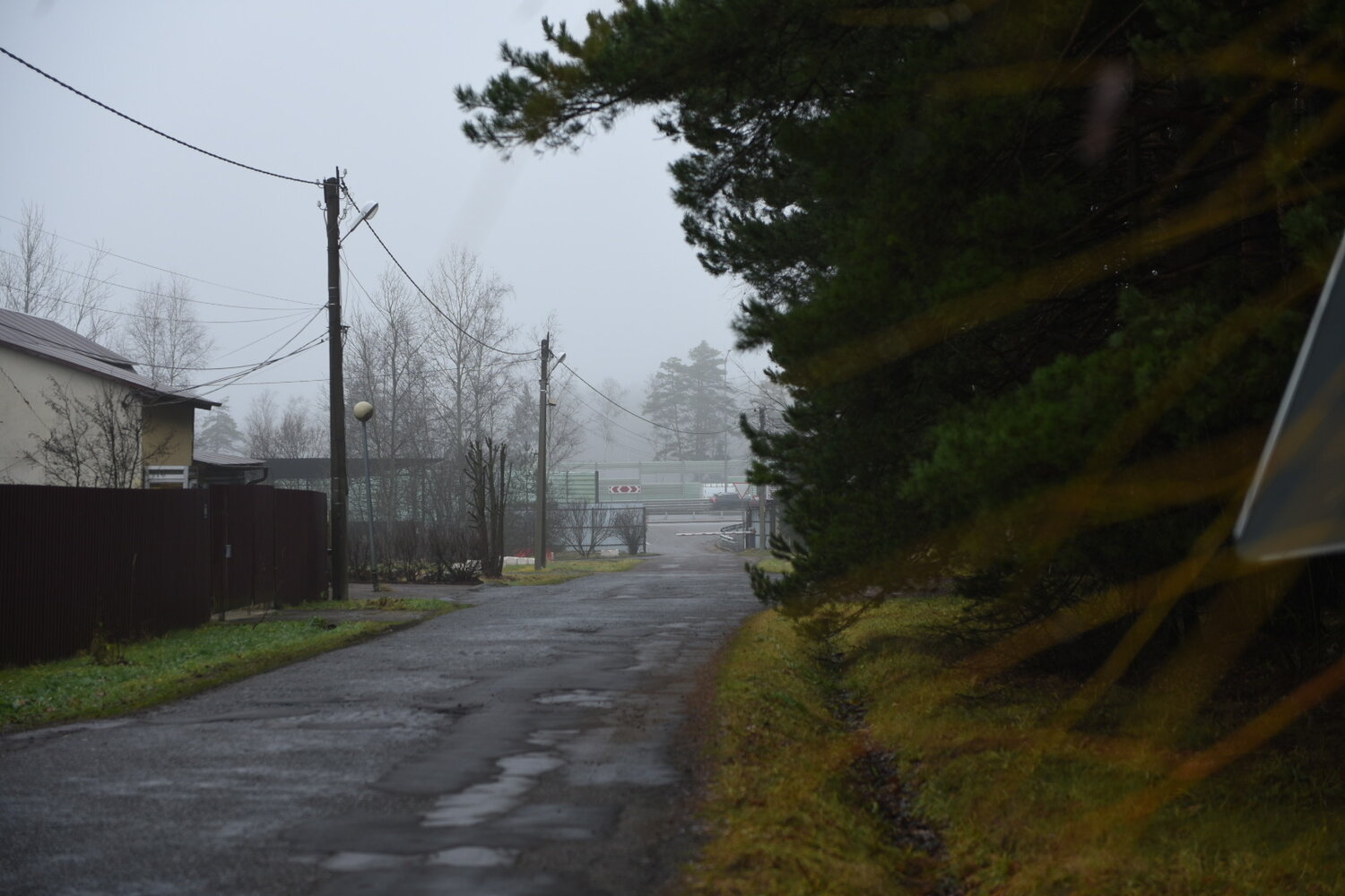 Photo #13868819