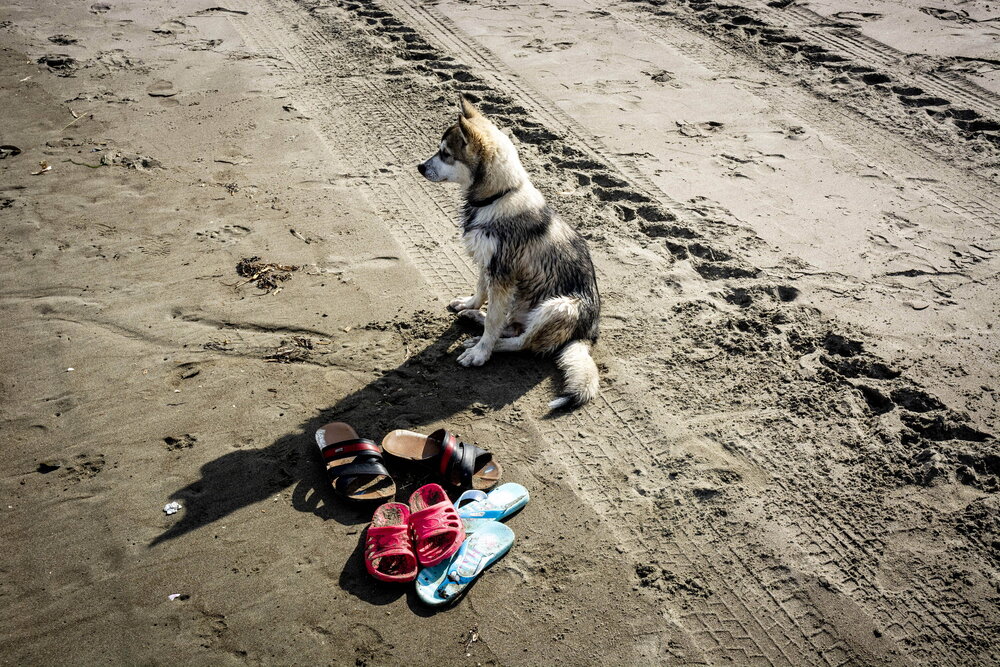 Photograph by Вячеслав ИВАНОВ